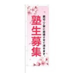 のぼり 【 親切 丁寧に指導させて頂きます 塾生募集 】 NOB-IK0021
