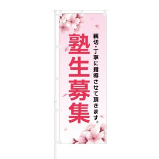 のぼり 【 親切 丁寧に指導させて頂きます 塾生募集 】 NOB-IK0021