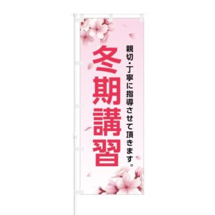 のぼり 【 親切 丁寧に指導させて頂きます 冬期講習 】 NOB-IK0022