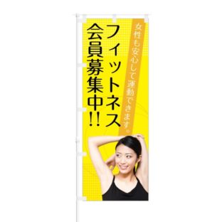 のぼり 【 女性も安心 フィットネス 会員募集中 】 NOB-KR0021