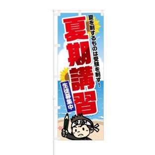 のぼり 【 夏期講習 生徒募集中 】 NOB-KT0033