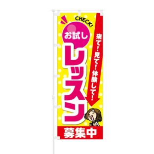 のぼり 【 来て 見て 体験して お試しレッスン 募集中 】 NOB-KT0055