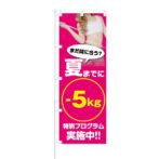 のぼり 【 夏までに -5kg 特別プログラム 実施中 】 NOB-KT0146