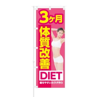 のぼり 【 3ヶ月 体質改善 DIET 痩せたいカラダ作り 】 NOB-KT0515