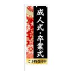 のぼり 【 成人式 卒業式 ご予約受付中 】 NOB-KT0553