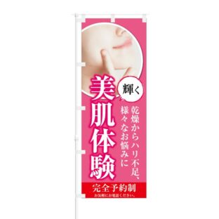 のぼり 【 輝く 美肌体験 完全予約制 お電話ください 】 NOB-KT0711