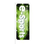 のぼり 【 新たなスポーツの世界が広がる e-Sports 】 NOB-OY0157