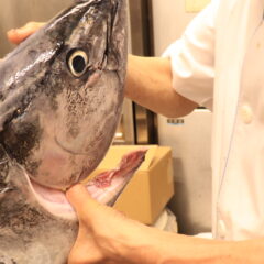 鮮度と味で勝負！海鮮系の料理屋さんがお客様の心をガッチリ掴む方法