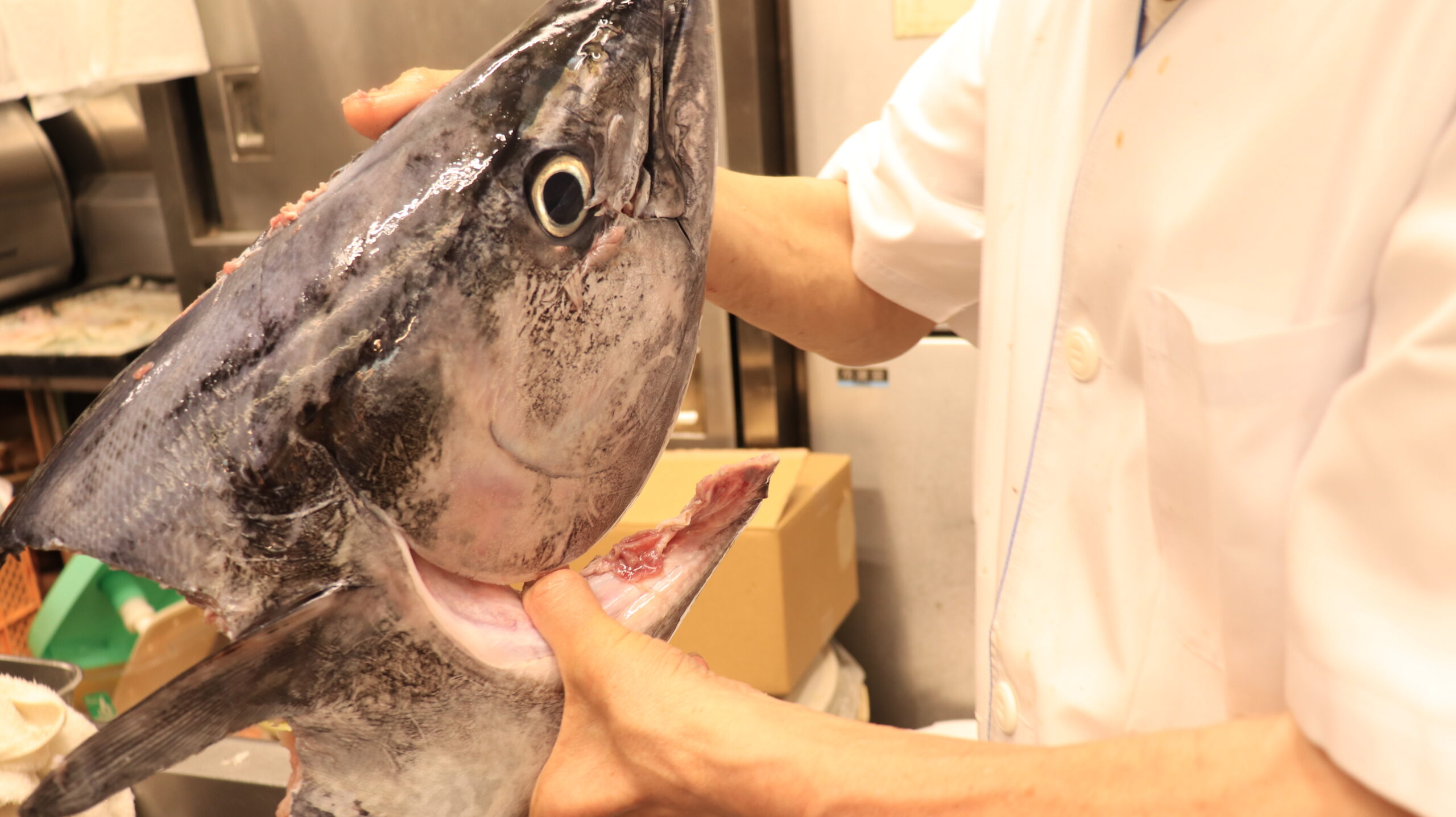 鮮度と味で勝負！海鮮系の料理屋さんがお客様の心をガッチリ掴む方法 | のぼり旗の制作・販売｜NOBORI the Shop