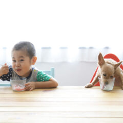 かき氷屋さんそろそろお時間ですよ。【かき氷】のぼりでガッチリ集客する方法