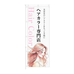 のぼり 【 ヘアカラー専門店 美容室 ヘアカラーを手軽に 】NOB-KT0970