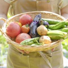 野菜、果物おいしい季節ですよ。野菜や果物直販所を賑やかにするための方法！
